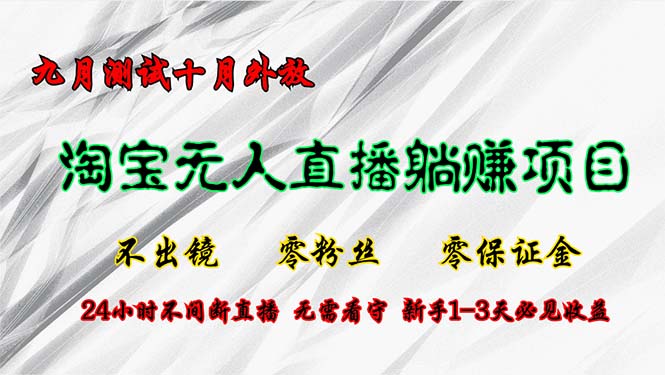 淘宝无人直播最新玩法，九月测试十月外放，不出镜零粉丝零保证金，24小…-我的网站