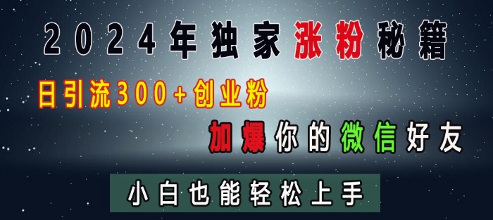 2024年独家涨粉秘籍，日引流300+创业粉，加爆你的微信好友，小白也能轻松上手-我的网站