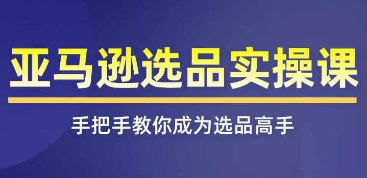 亚马逊选品实操课程，快速掌握亚马逊选品的技巧，覆盖亚马逊选品所有渠道-我的网站