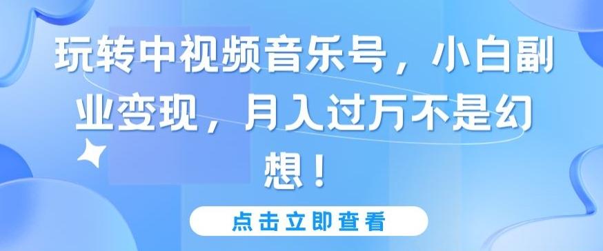 玩转中视频音乐号，小白副业变现，月入过万不是幻想【揭秘】-我的网站