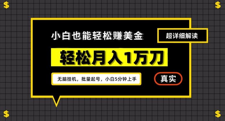 谷歌看广告撸美金2.0，无脑挂机，多号操作，月入1万刀【揭秘】-我的网站