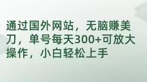 通过国外网站，无脑赚美刀，单号每天300+可放大操作，小白轻松上手【揭秘】-我的网站