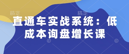 直通车实战系统：低成本询盘增长课，让个人通过技能实现升职加薪，让企业低成本获客，订单源源不断-我的网站