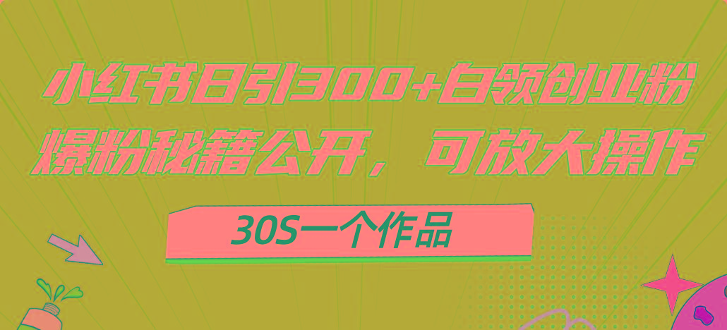 小红书日引300+高质白领创业粉，可放大操作，爆粉秘籍！30s一个作品-我的网站