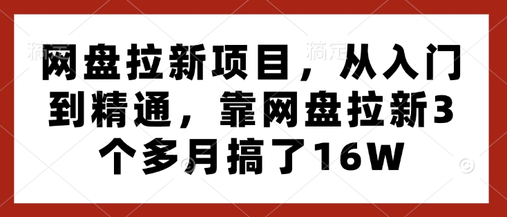 网盘拉新项目，从入门到精通，靠网盘拉新3个多月搞了16W-我的网站