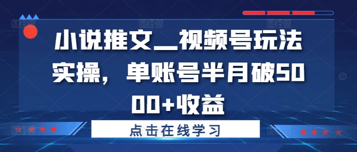 小说推文—视频号玩法实操，单账号半月破5000+收益-我的网站