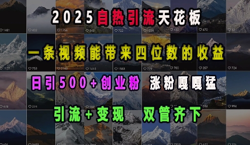 2025自热引流天花板，一条视频能带来四位数的收益，引流+变现双管齐下，日引500+创业粉，涨粉嘎嘎猛-我的网站