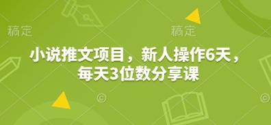 小说推文项目，新人操作6天，每天3位数分享课-我的网站