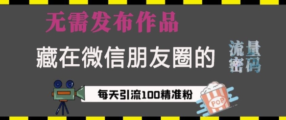 藏在微信朋友圈的流量密码，无需发布作品，单日引流100+精准创业粉【揭秘】-我的网站