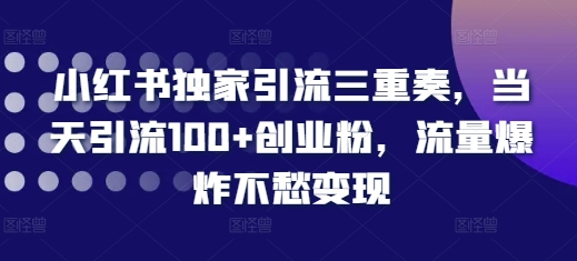 小红书独家引流三重奏，当天引流100+创业粉，流量爆炸不愁变现【揭秘】-我的网站