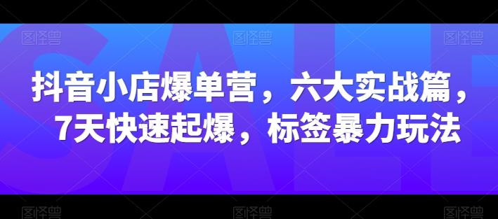 抖音小店爆单营，六大实战篇，7天快速起爆，标签暴力玩法-我的网站