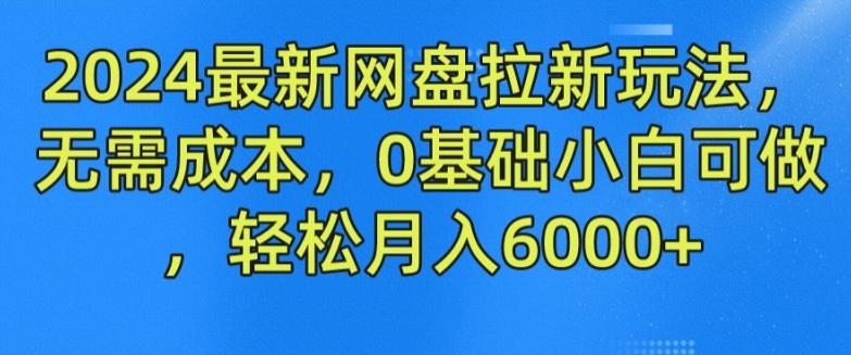 2024最新网盘拉新玩法，无需成本，0基础小白可做，轻松月入6000+【揭秘】-我的网站