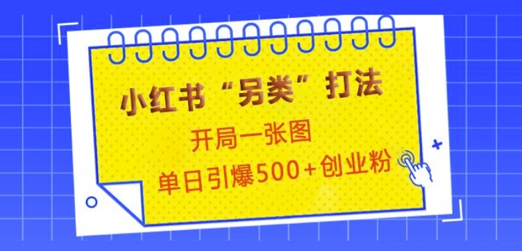 小红书“另类”打法，开局一张图，单日引爆500+精准创业粉【揭秘】-我的网站