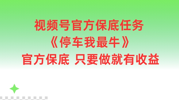 视频号官方保底任务，停车我最牛，官方保底只要做就有收益【揭秘】-我的网站