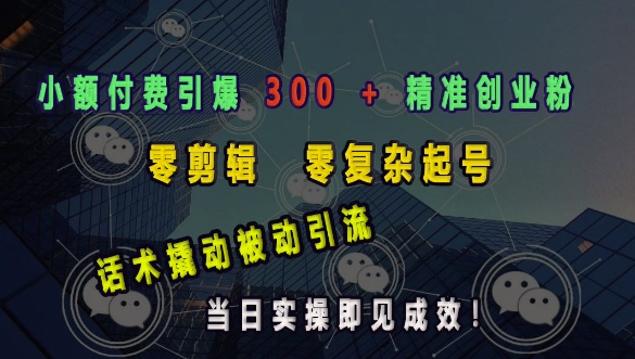 小额付费引爆 300 + 精准创业粉，零剪辑、零复杂起号，话术撬动被动引流，当日实操即见成效-我的网站