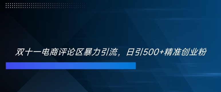 双十一电商评论区暴力引流，日引500+精准创业粉【揭秘】-我的网站