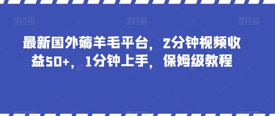 最新国外薅羊毛平台，2分钟视频收益50+，1分钟上手，保姆级教程【揭秘】-我的网站