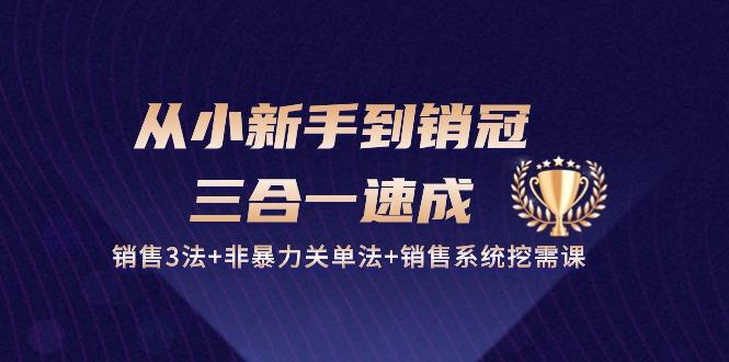 从小新手到销冠 三合一速成：销售3法+非暴力关单法+销售系统挖需课 (27节-我的网站