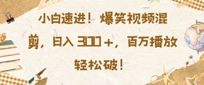 小白速进，爆笑视频混剪，日入3张，百万播放轻松破【揭秘】-我的网站