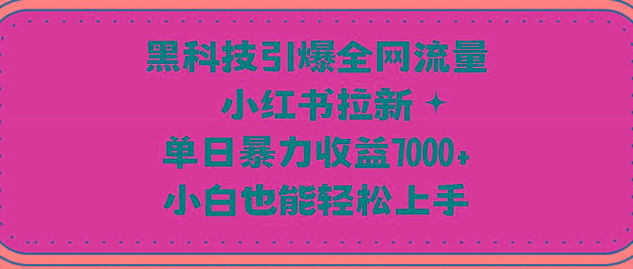 (9679期)黑科技引爆全网流量小红书拉新，单日暴力收益7000+，小白也能轻松上手-我的网站